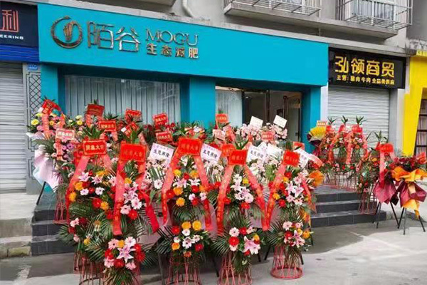 外面已秀減肥店靠譜嗎 開(kāi)美容院賺錢(qián)嗎